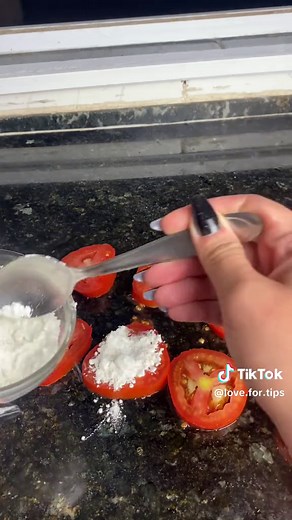 With this tip, mice, cockroaches and other insects will disappear from your home! #fy #fyp #fypシ #foryou #foryoupage