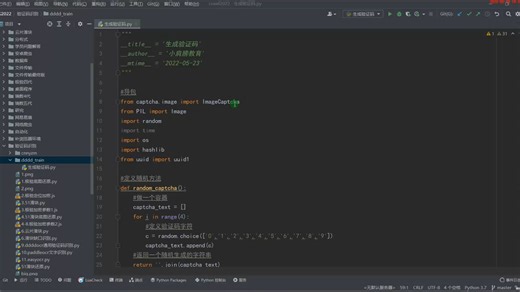 19.ddddocr验证码训练【验证码识别】