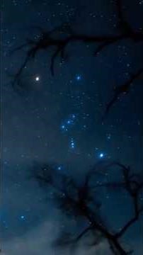 The Three Kings, the stars of Orion's Belt #universe #astronomy #space #astro #nasa