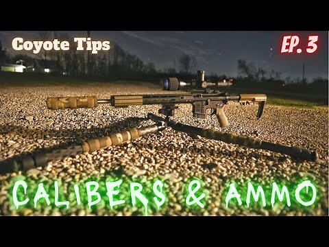 Calibers and Ammo For Coyote Hunting | Coyote Hunting Tips - Ep. 3