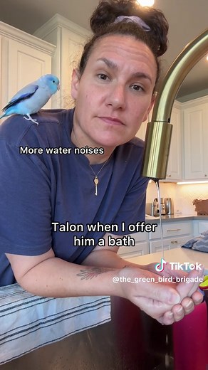 Funny Parrot Moments: Talon the Cursing Parrot