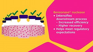 Efficient DNA Clearance