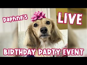 Daphne Turns 2! - LIVE Birthday Party Event! 🎉