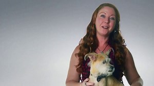 Subaru Share the Love Event TV Spot, 'ASPCA: Amanda' [T1]