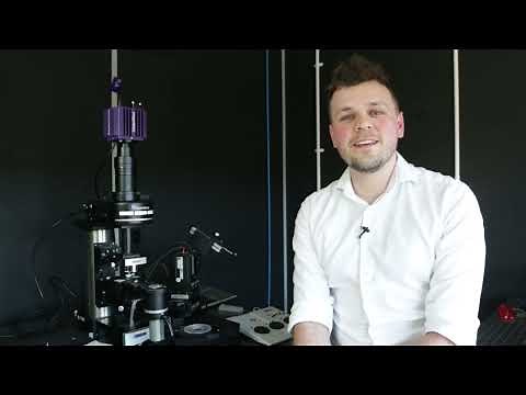 A Video Guide to Differential Interference Contrast (DIC)