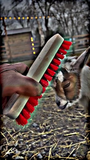 Popular Trending Videos