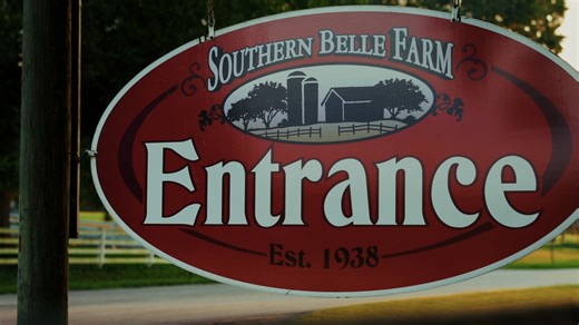 🌽✨ 20 years of Fall Family Fun, and we’re celebrating with our most special corn maze yet! This year’s design honors two decades of laughter, memories, and traditions made at Southern Belle Farm. Who’s ready to get lost in the maze and find new memories this fall? 🍂🎉 | Southern Belle Farm