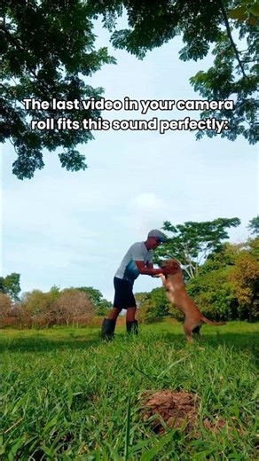 this sound really fits perfectly 😊 #lastvideo #trend #fyp #shorts #yt