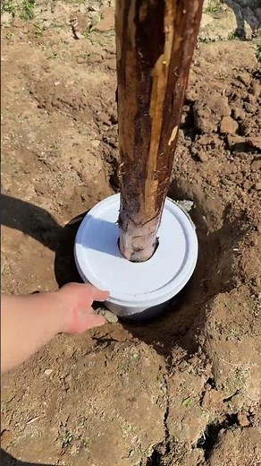 Low-Cost Post Fixing! Bucket Replaces Concrete, Save 50% Money!