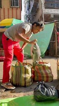 We set up a shop on the way 😭🐠 #minivlog #dailyvlog #shorts #vlog