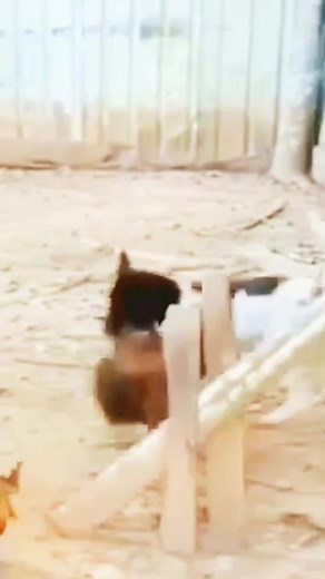 LOL #prank #pranks #funny #fyp