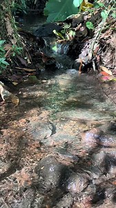 El tesoro más valioso del campo en Ecuador: agua