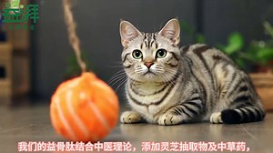 宠物关节痛不再愁！一天两次，轻松养护！按体重喂养，方便又科学！VA、VD3、VE、VB族全面加持，营养满分