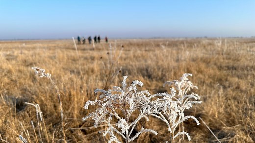 When is it safe to plant outside in Michigan? Statewide last frost dates vary regionally