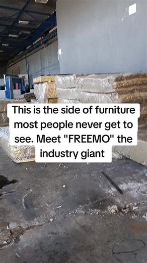 FREEMO: The Secret Powerhouse of Furniture