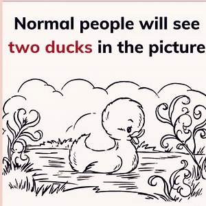 55K views · 133 reactions | HOW MANY DUCKS YOU CAN SEE? | Spice Up Your Brain | Facebook