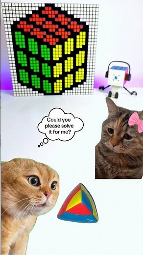 How to Solve a Corner Twist on a 2x2 Mastermorphix 😺🧩