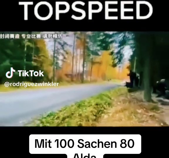 Topspeed in Drachenlord's Realm - Memes and More!