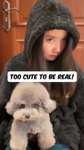The Cutest Animals on Earth 🥹