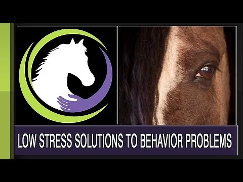 How Horses Learn: Low-stress Solutions to Behavior Problems
