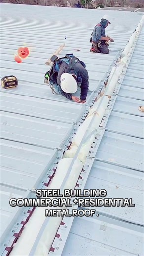 Innovative Steel Building and Metal Roof Solutions