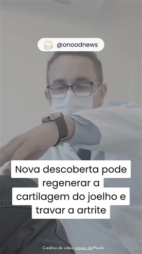 Nova #descoberta pode regenerar a #cartilagem e combater a #artrite