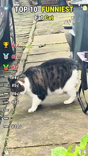 #funny #fyp #viral #fypシ#YouTube