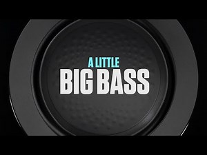 Monitor Audio Anthra W10 Subwoofer