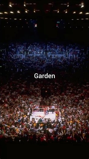 The first wrestlemania #wwe #wrestling #prowrestling