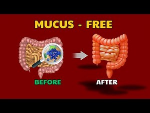 Arnold Ehret’s Secret The Mucusless Diet Explained