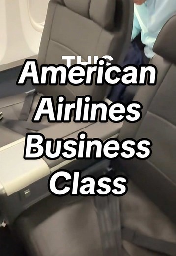 American Airlines Business Class Experience on Boeing 737