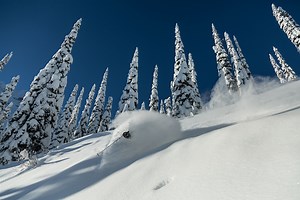 Skiing & snowboarding in Fernie BC | Tourism Fernie