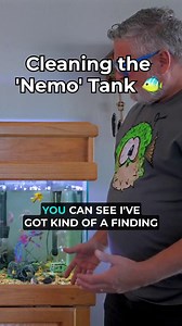 Cleaning the 'Nemo' Tank 🐠 #freshwatertank #AquariumMaintenance #TankCleaning | SaltwaterAquarium.com