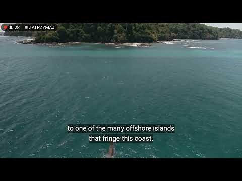 T.rex takes a swim! | Prehistoric planet