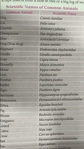 Scientific names of some common animals.
