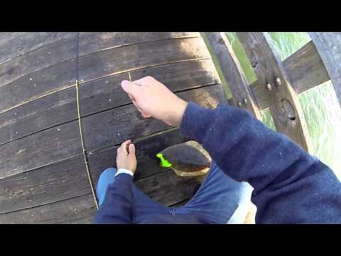 Seawolf Park Flounder Fishing Galveston, Texas (Gulp Alive)