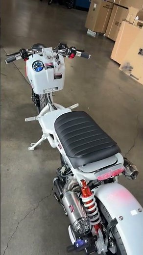 150cc Ruckus Clone | Maddog Scooter | Moped | Street Legal | Venom Motorsports | 1-855-984-1612