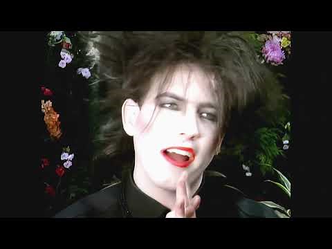 the cure the caterpillar (HD Remastered)