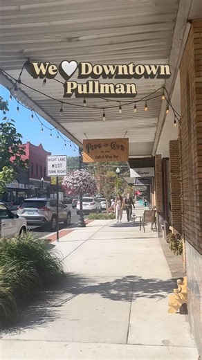 We🤍Downtown Pullman! | Downtown Pullman