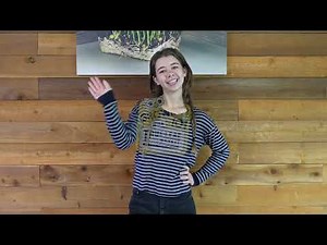 how to store seeds! Growing 101 with True Leaf Market