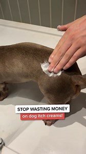 If your dog is itching... don’t buy another cream until you’ve watched THIS! | PetLab Co.