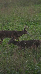 See what others miss using Spartan Forges historical UAV imagery, featuring leaf off maps giving you the competitive edge. | Spartan Forge Technology | Facebook