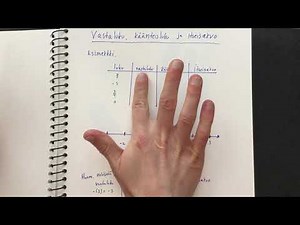 Vastaluku, käänteisluku ja itseisarvo