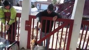 7.2K views · 318 reactions | Mica's favourite day of the week is...