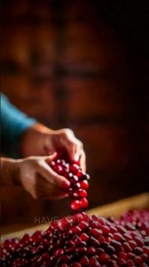 15 Thanksgiving Food Traditions You Should Know | National Dish History