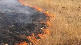 1.5K views · 21 reactions | Oregon’s Certified Burn Manager (CBM)...