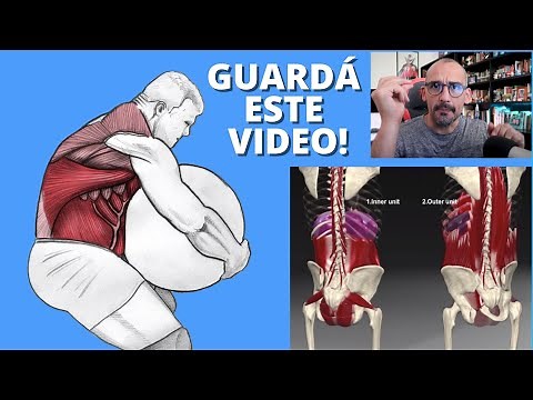 30 minutes on the anatomy of the CORE. How does the core work during training EXPLAINED.