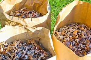 The Best Garden Debris Bags for Backyard Cleaning