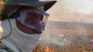 Brazil: Firefighting - When Fighting Fire Amounts To Fighting Climate Change