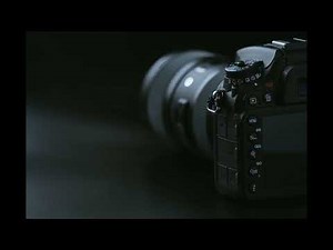 Camera Flash Sound Effect